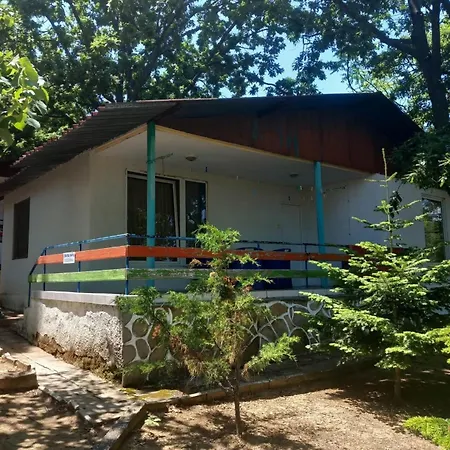 База отдыха Elit Village Обзор